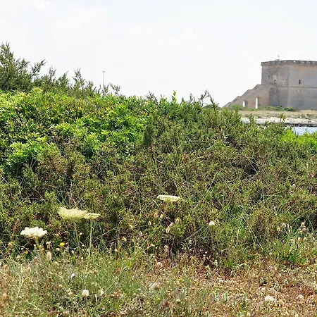 Tre Mari